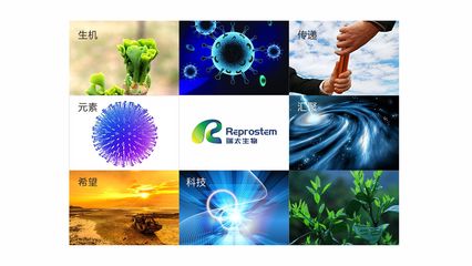 瑞太生物科技 推動生物技術創新，引領健康未來