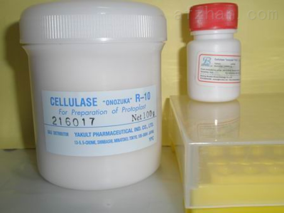 2-脫氧-D-核糖 信然生物科技的專業合成與應用